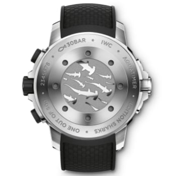 The Aquatimer gets up close with the predators of the seas