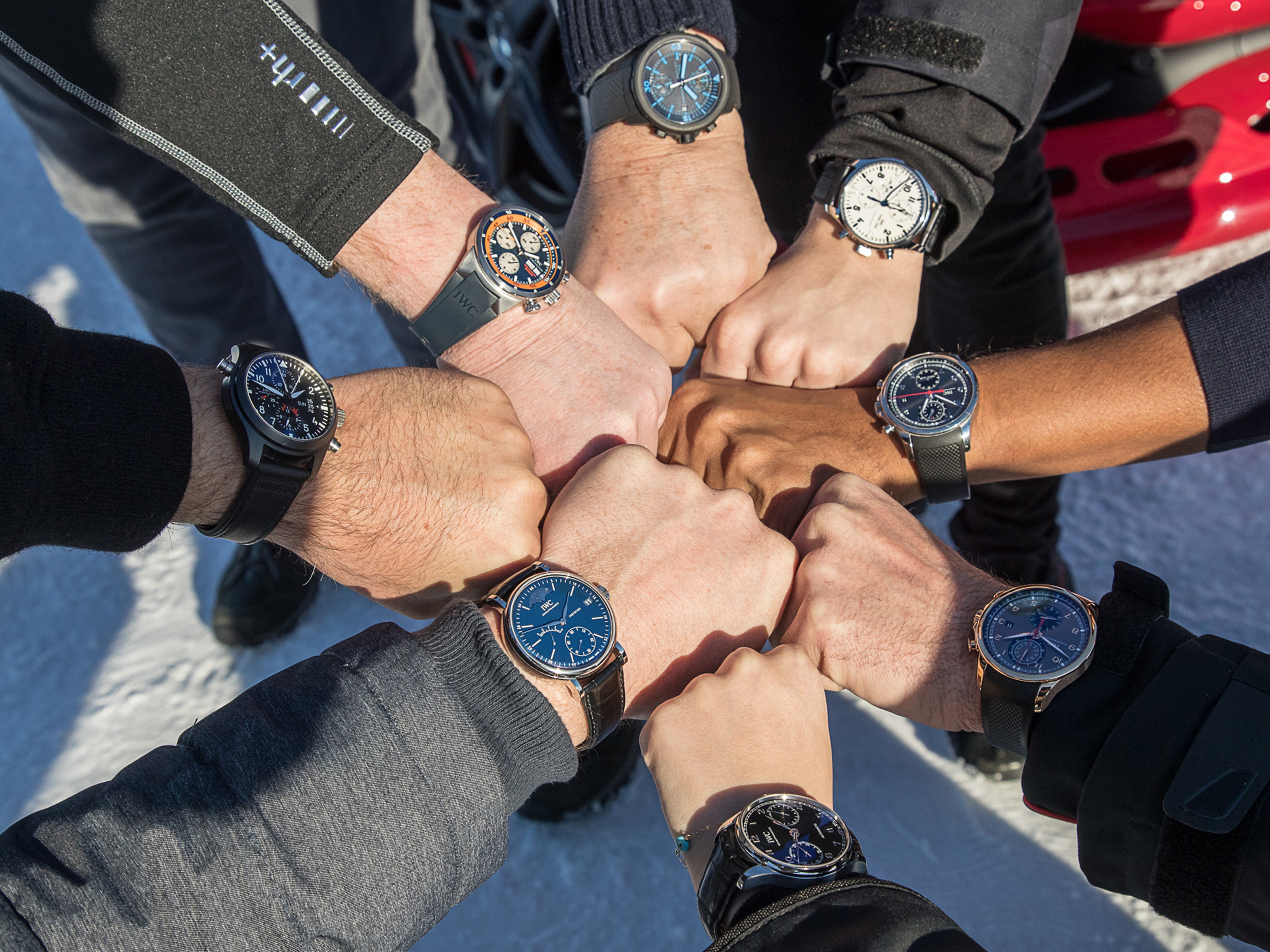 The mandatory group wristshot of IWC watches