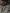 Cyberloupe 3.0