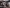 Cyberloupe 3.0