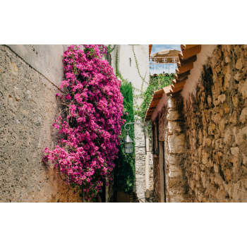 The French Riviera Travel Guide
