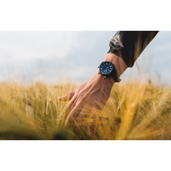 Running with Time: from the Rhine Falls to Poppy Fields