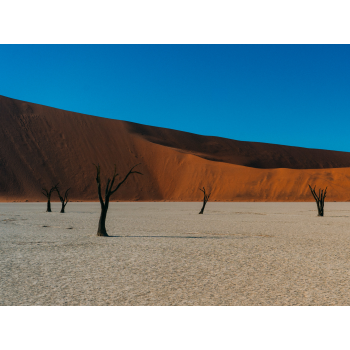 Exquisite journey to Namibia