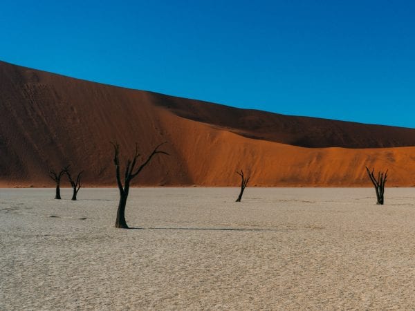 Exquisite journey to Namibia