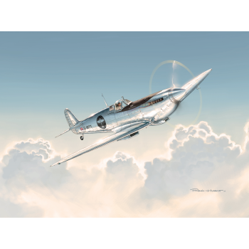 Silver Spitfire
