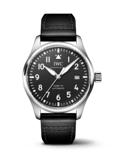 Iwc schaffhausen watch sale
