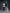 Mercedes-AMG PETRONAS一級方程式賽車手和IWC萬國錶品牌大使Andrea Kimi Antonelli與George Russell佩戴IWC萬國錶腕錶。