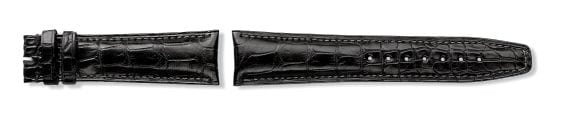 Black,Mississippiensis alligator