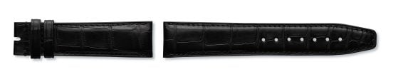 Black,Alligator