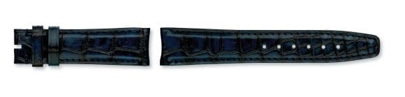 Dark blue,Mississippiensis alligator