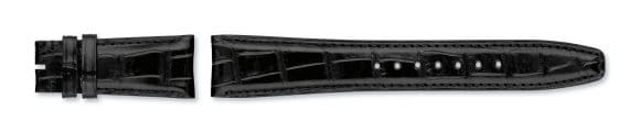 Noir,Alligator