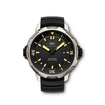 IWIW358001 - 海洋時計2000自動腕錶