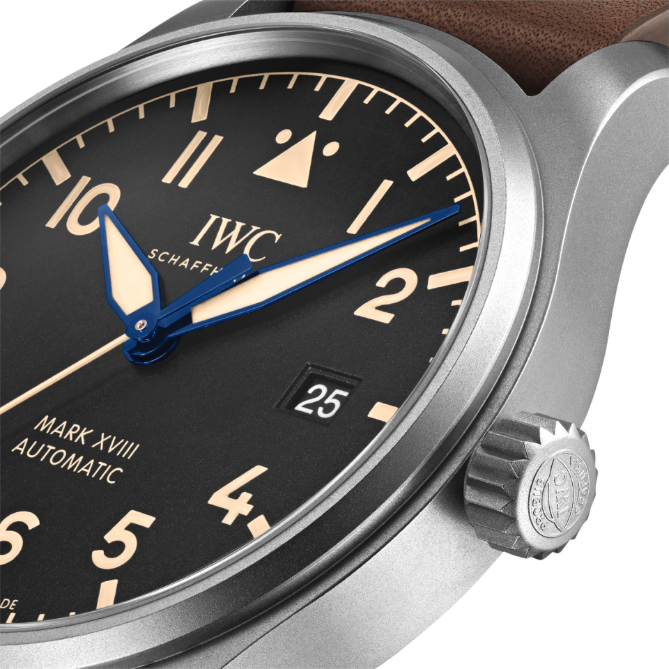 iwc pilot mark xviii titanium
