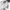 포르투기저 투르비옹 미스테르 레트로그레이드
