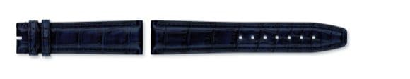 Blue,Mississippiensis alligator