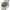 إنجينيور أوتوماتيك 40