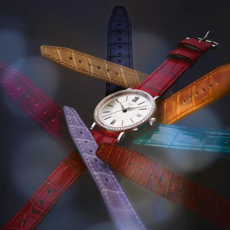 iwc crocodile strap