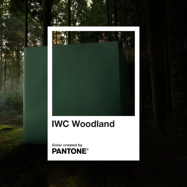 IWC Woodlands